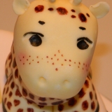 giraffe 2